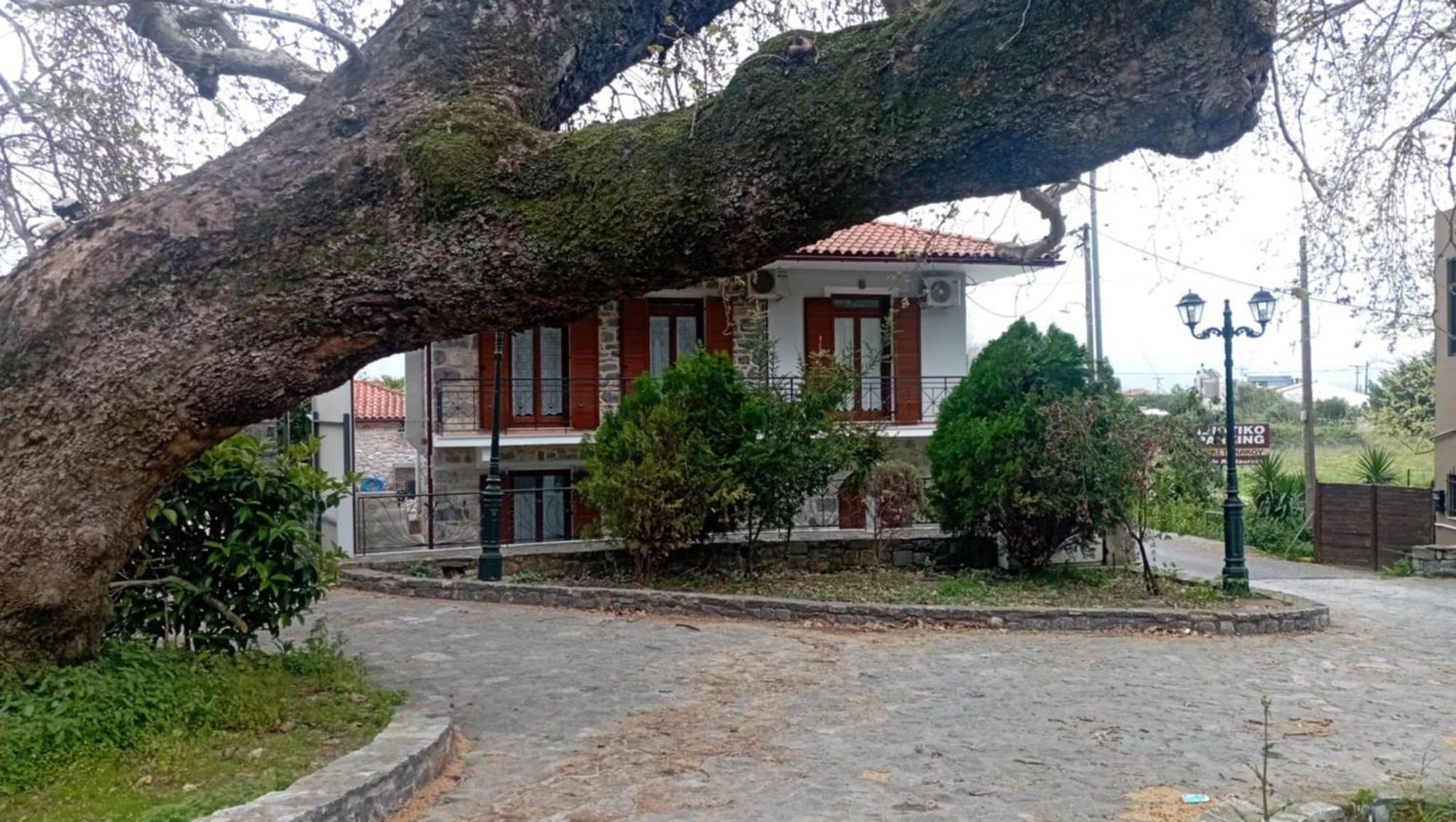 GuestHouse Iris Mystras Extérieur photo