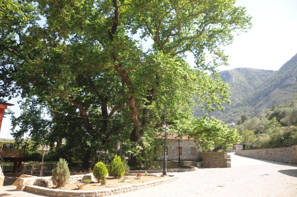 GuestHouse Iris Mystras Extérieur photo